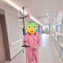 굿비뇨기과 - 양평군 시민로 37 | 대구 달서구 분만병원 추천 미래여성병원 응급 제왕절개 전신마취 출산 입원기간 및 1인실 비용 회복과정