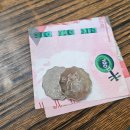 천지관광나이트 | 🇭🇰 4박 5일 홍콩 여행 #2