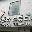 몽키트리스튜디오
