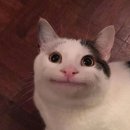 청년쉐프 원종주방 | [공지] 청년이룸 「케미테이블」 2·3테마 프로그램 리뷰 / 4테마 참여자 모집