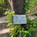 사나사(초입) 이미지