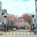 나무아래서(푸드트럭) 이미지