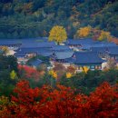 경북 경산-청도 여행정보