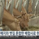 생생부산물