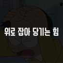 탈모야안녕 이미지