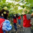 김주철농장 이미지