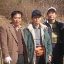 현석관 Daum카페
