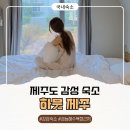 비치민박 | 제주도 감성 숙소 제주 하뭇 때문에 비행기 티켓 끊은! 금능해수욕장 민박 독채 숙소 B동 후기