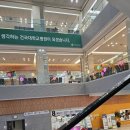 씨앤유내과의원 | [건강] 담석없는 만성담낭염 담낭절제술 1편 (feat. 원인, 증상, 진단, 수술결심, 병원선택)