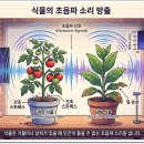 식물도 고통을 느낄까? 식물의 감각 체계 이미지