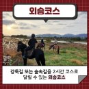 칸승마아카데미 이미지