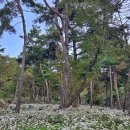 구절산 Daum카페