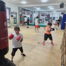 진천복싱체육관 이미지