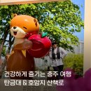 충주큰길약국 | 충주여행 국내여행지추천! 워크온 챌린지로 즐기는 탄금대 &amp; 호암지 걷기 좋은 길 후기