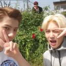 낭만브로
