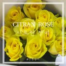 만봉농장 이미지