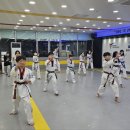 용인대 국가대표 해들 태권도 이미지