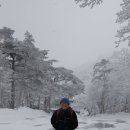 (주)한라산물류 Daum카페