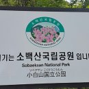 단양소백산한옥민박 이미지