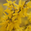 테크노봄공인중개사사무소 이미지