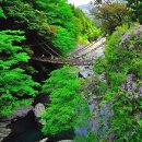 여수해상산업노동조합 | (작성중)위험해서 더 매혹적인 다리