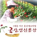 금산홍삼정