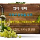 오리산단6로 이미지