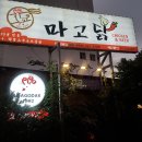 마고닭 Daum카페