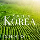 Relaxation 4K - Scenic Green Farm Jeju Island of South Korea 제주도 풍경 보성 녹차.. 이미지