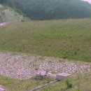 은곡농장 이미지