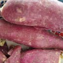 포도김밥