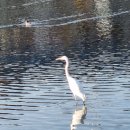 큰승주약국 이미지