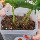 다산농장 이미지