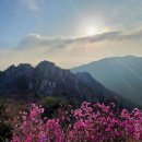 동녘 Daum카페