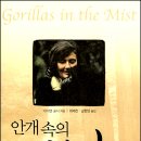 고릴라1978 이미지