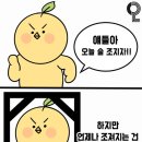 소메랑 이미지