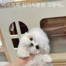 애현1길 이미지