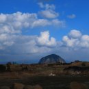 하르방밀면 이미지