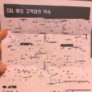 씨앤엘웨딩아트컴퍼니 | 전주스드메 cnl 씨앤엘웨딩 상담 및 당일계약 후기