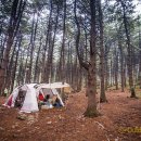 호호캠핑장 이미지