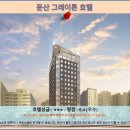 그레이톤 | 대전 둔산 그레이톤 호텔 후기: 대전 여행객에게 추천하는 가성비 호텔