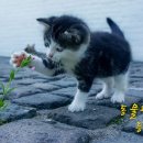 E&F행정사사무소 이미지