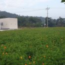 옥주미용실 이미지