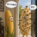 지금 영남지방은... 이미지