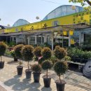 선수촌주유소 이미지