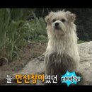 럭키농장 이미지