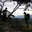 김형관농장 이미지