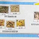 한독의약박물관 | 박물관 :) 음성 한독의약박물관 저학년 체험 후기/아이와 가볼만한 곳 추천