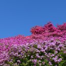 백양산 애진봉 이미지