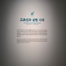 제물포도서관 | [인천] 가볼 만한 곳 - 국립인천해양박물관 2층 탐방 후기 &amp; 전망 좋은 도서관